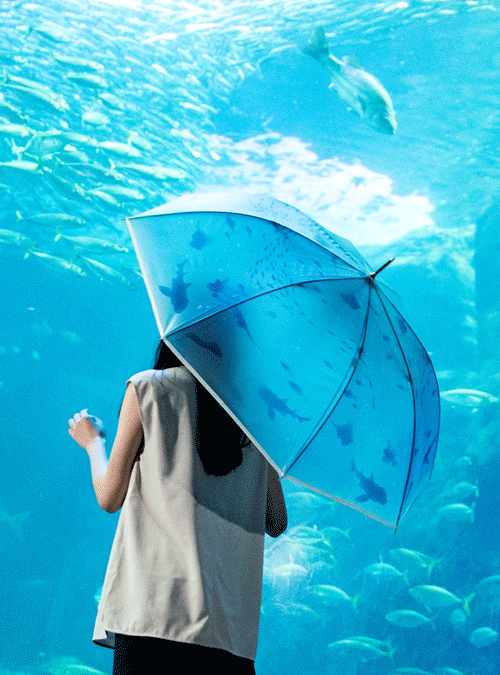 Wpc.우산 아쿠아리움 튼튼한 비닐우산 투명우산 PT-EN